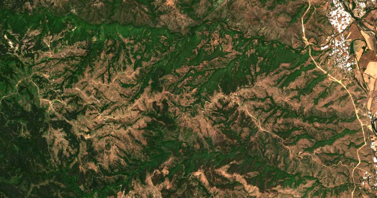 Δορυφορικός χάρτης: Μπογορόδιτσα